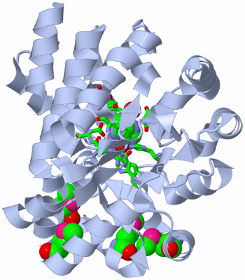 Image Biol. Unit 1 - sites