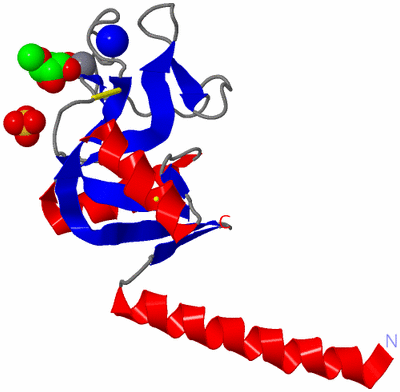 Image Asymmetric Unit