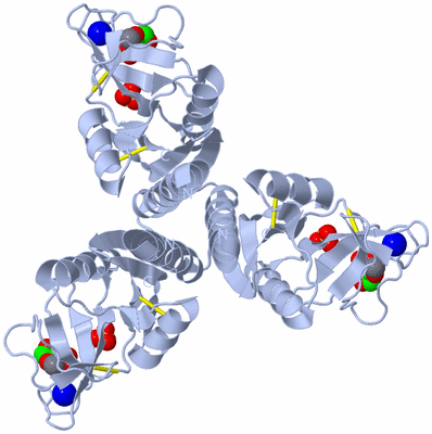 Image Biological Unit 1