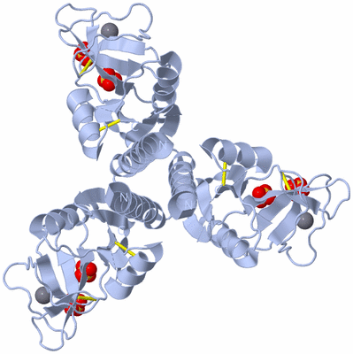 Image Biological Unit 1