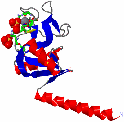 Image Asym. Unit - sites