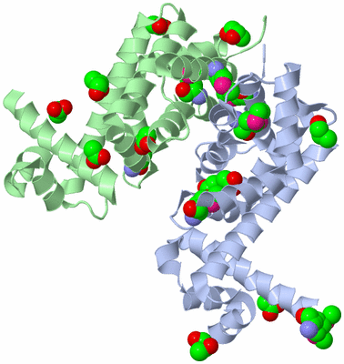 Image Biological Unit 1