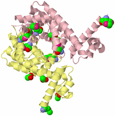 Image Biological Unit 2