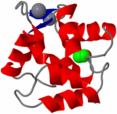 Image NMR Structure - model 1