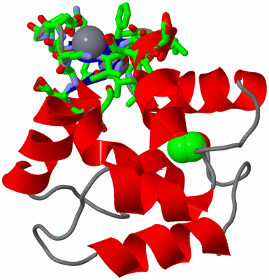 Image NMR Structure - model 1, sites