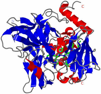 Image Asym./Biol. Unit - sites