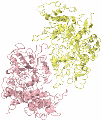 Image Biological Unit 2