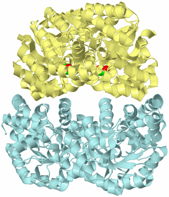 Image Biological Unit 2