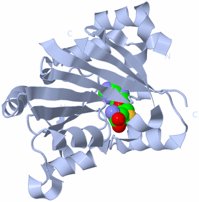 Image Biological Unit 1