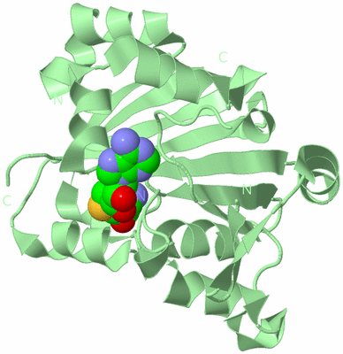 Image Biological Unit 2