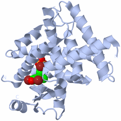 Image Biological Unit 1