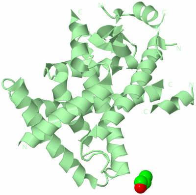 Image Biological Unit 2