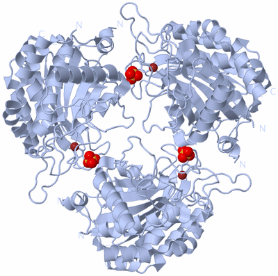 Image Biological Unit 3