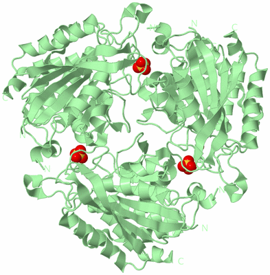 Image Biological Unit 4