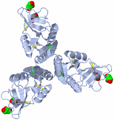 Image Biological Unit 1