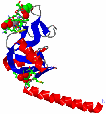 Image Asym. Unit - sites