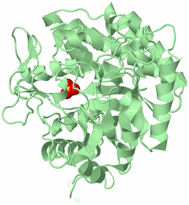 Image Biological Unit 2