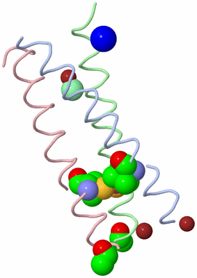 Image Biological Unit 1