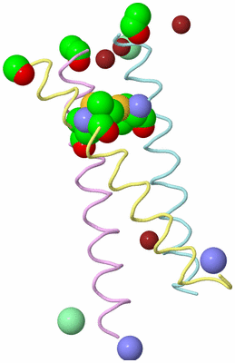 Image Biological Unit 2