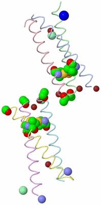 Image Biological Unit 3