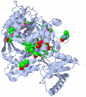 Image Biol. Unit 1 - sites