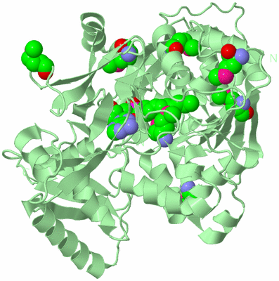 Image Biological Unit 2