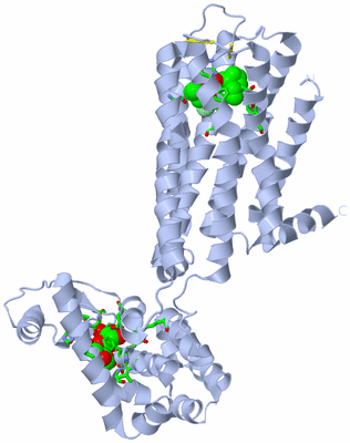 Image Biol. Unit 1 - sites