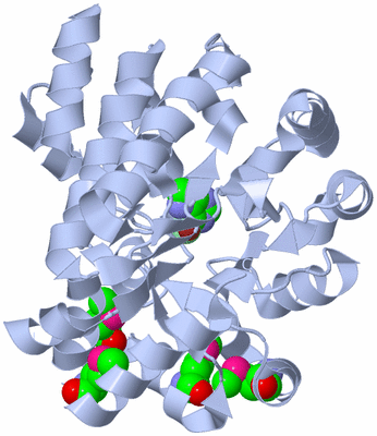 Image Biological Unit 1