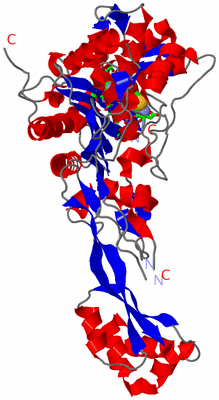 Image Asym./Biol. Unit - sites