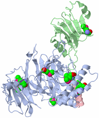 Image Biological Unit 1