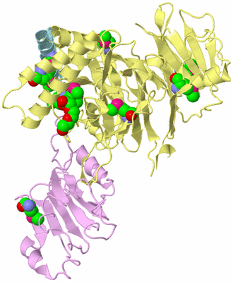 Image Biological Unit 2