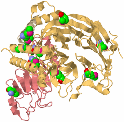 Image Biological Unit 3