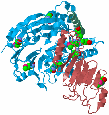 Image Biological Unit 4