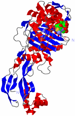 Image Asym./Biol. Unit