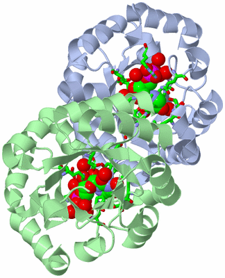 Image Asym./Biol. Unit - sites