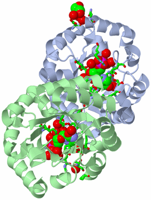 Image Asym./Biol. Unit - sites