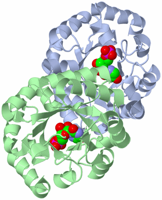 Image Asym./Biol. Unit