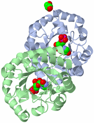 Image Asym./Biol. Unit