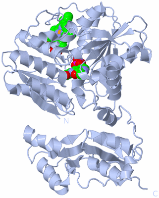 Image Biological Unit 1