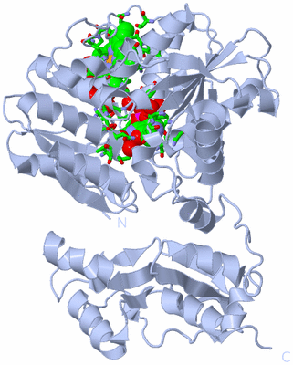 Image Biol. Unit 1 - sites