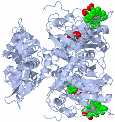 Image Biological Unit 2