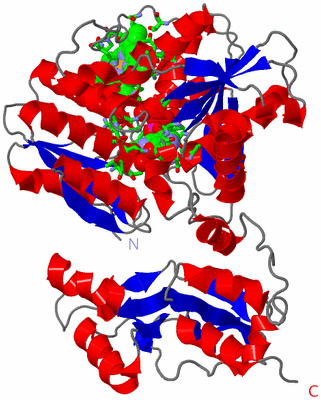 Image Asym. Unit - sites