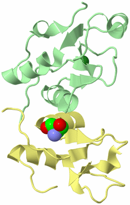 Image Biological Unit 3