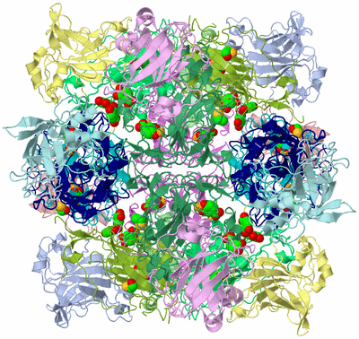 Image Biological Unit 1