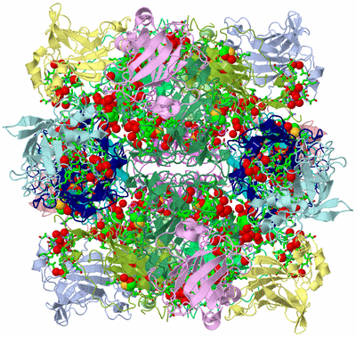 Image Biol. Unit 1 - sites