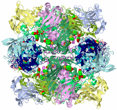 Image Biological Unit 1