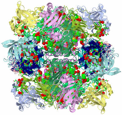 Image Biol. Unit 1 - sites