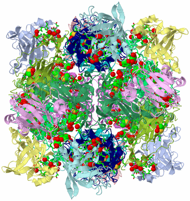 Image Biol. Unit 1 - sites