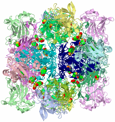 Image Biological Unit 1