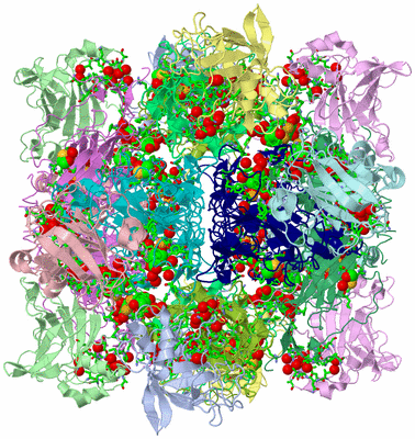 Image Biol. Unit 1 - sites